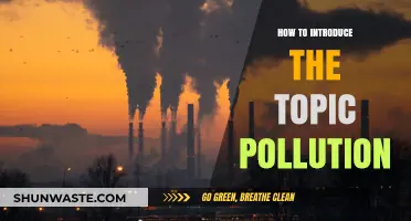 The Problem of Pollution: A Comprehensive Introduction