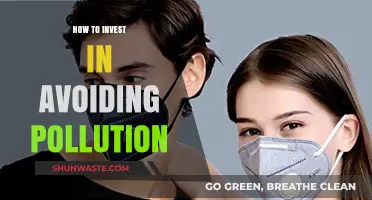 Green Future: Invest to Avoid Pollution
