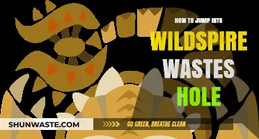 Mastering the Leap: Safely Jumping into Wildspire Wastes Hole