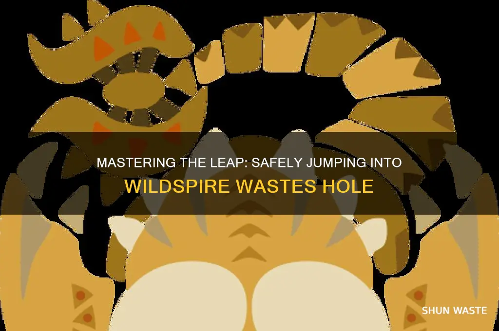 how to jump into wildspire wastes hole