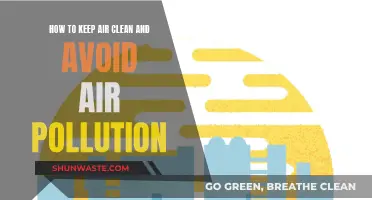 Purifying Air: Simple Steps to Avoid Pollution