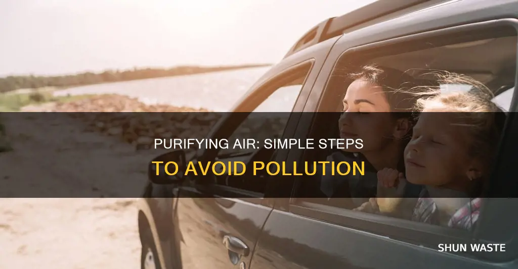 how to keep air clean and avoid air pollution