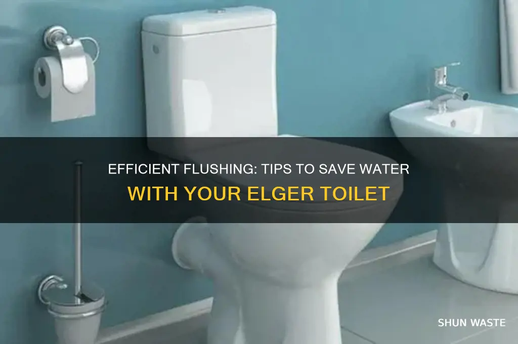 how to keep an elger toilet from wasting water