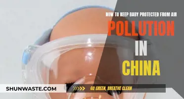 Protecting Babies from Air Pollution in China