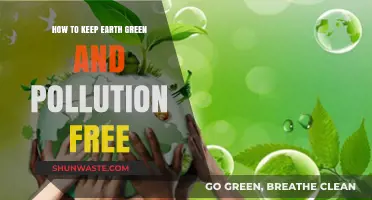 Protecting Our Planet: Keeping Earth Green and Pollution-Free