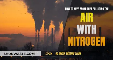 Nitrogen's Air Pollution: Strategies for Reduction