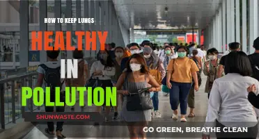 Protect Your Lungs: Tips for Pollution