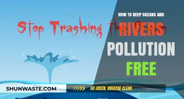 Protecting Our Waterways: Keeping Oceans and Rivers Pollution-Free