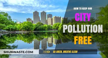 Keep Our City Pollution Free: Simple Steps, Big Impact
