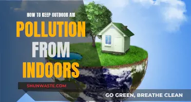 Purifying Indoor Air: Keeping Outdoor Pollution Out