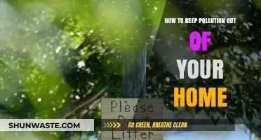 Protect Your Home: Keep Pollution at Bay