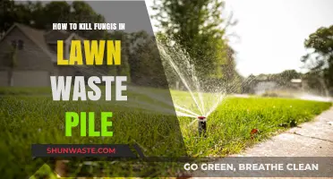Effective Ways to Eliminate Fungus in Your Lawn Waste Pile