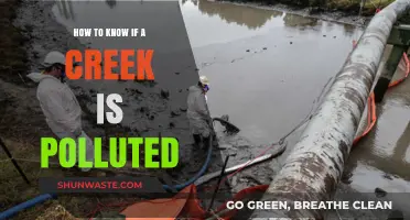 Signs of Creek Pollution: What to Look For