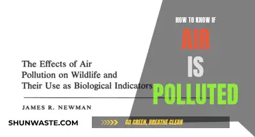 Air Quality Alert: Detecting Pollution