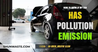 Check Your Car's Emissions: Pollution Awareness