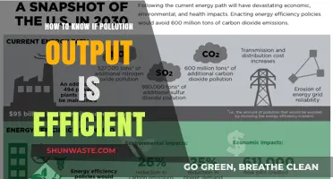 Assessing Efficiency: Pollution Output Metrics