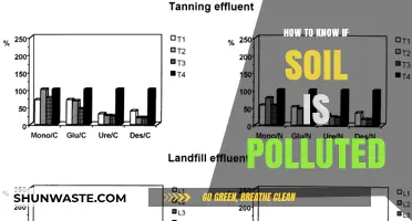 Soil Pollution: Testing for Contamination
