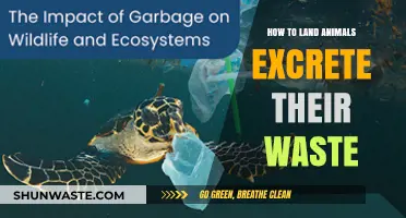Unveiling the Unique Waste Excretion Methods of Terrestrial Animals