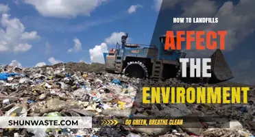 Landfills' Environmental Impact: Pollution, Wildlife, and Climate Change Concerns