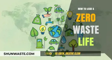 Sustainable Living: Practical Steps to Embrace a Zero Waste Lifestyle