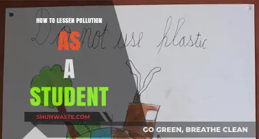 Students' Guide to Reducing Pollution: Small Steps, Big Impact