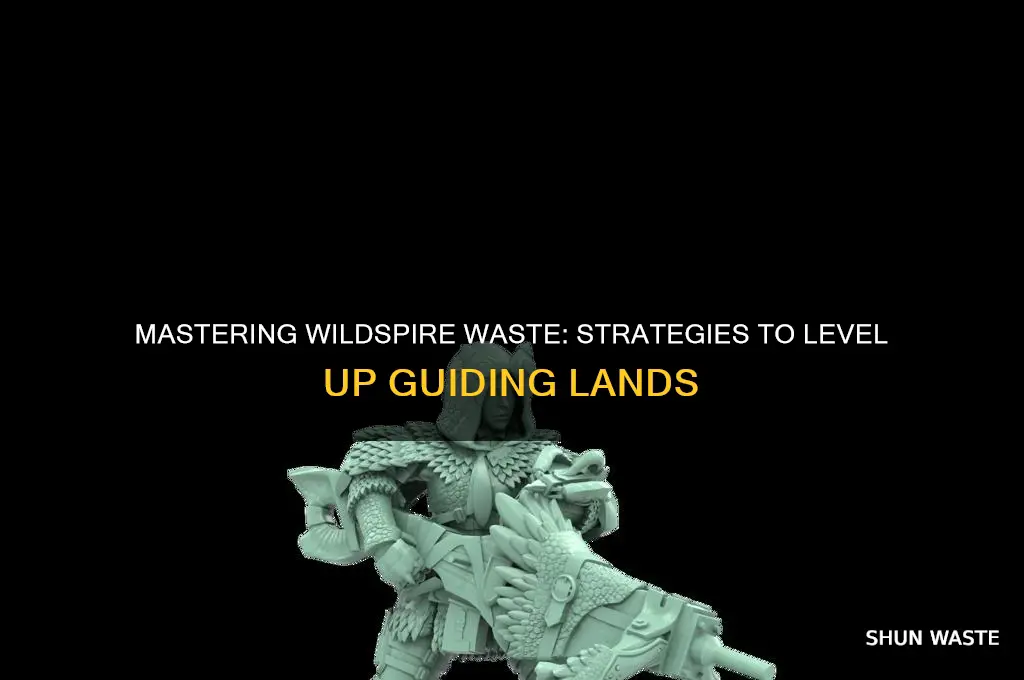how to level up wildspire waste guiding lands