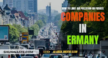 Limiting Air Pollution: Germany's Private Companies' Role