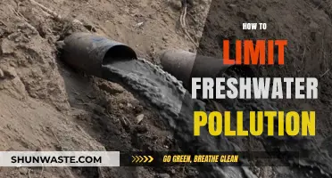 Protecting Freshwater Sources: Strategies to Reduce Pollution