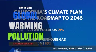 Strategies to Limit Global Warming Pollution