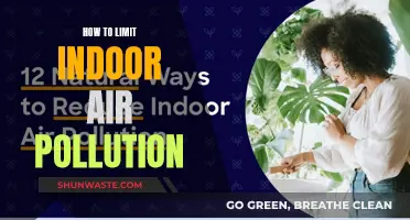 Purifying Indoor Air: Simple Steps to Breathe Easier