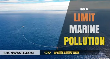 Protecting Our Oceans: Strategies to Curb Marine Pollution