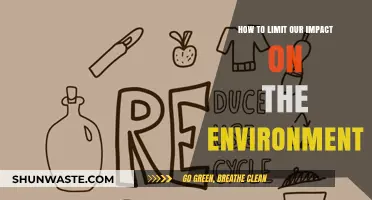Sustainable Living: Practical Steps to Reduce Your Environmental Footprint