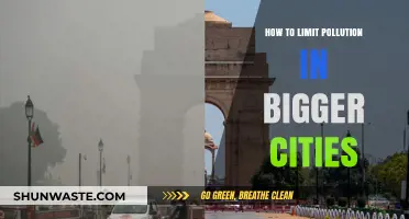 Green Urban Future: Limiting Pollution in Cities