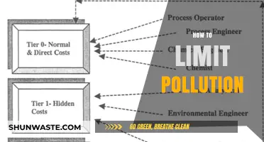 Reducing Pollution: Strategies for a Greener Tomorrow