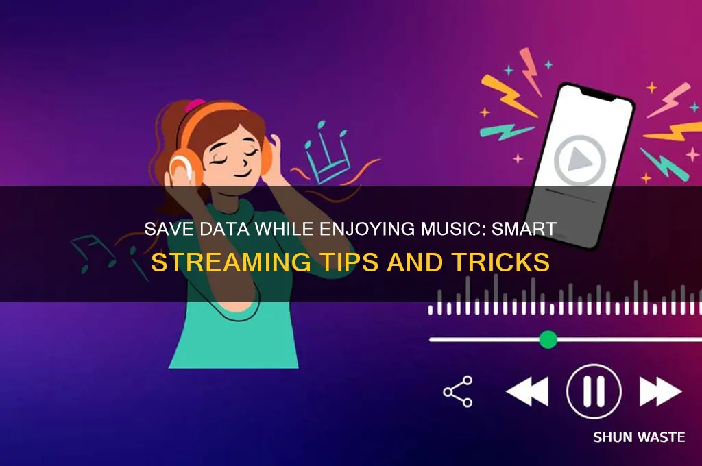 how to listen to music without wasting data