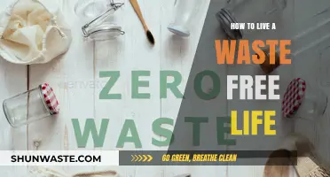 Sustainable Living: Practical Steps to Embrace a Zero-Waste Lifestyle