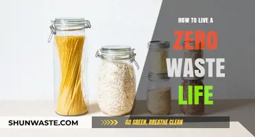 Sustainable Living: Practical Steps to Embrace a Zero Waste Lifestyle