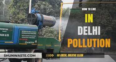 Breathe Easy: Surviving Delhi's Pollution