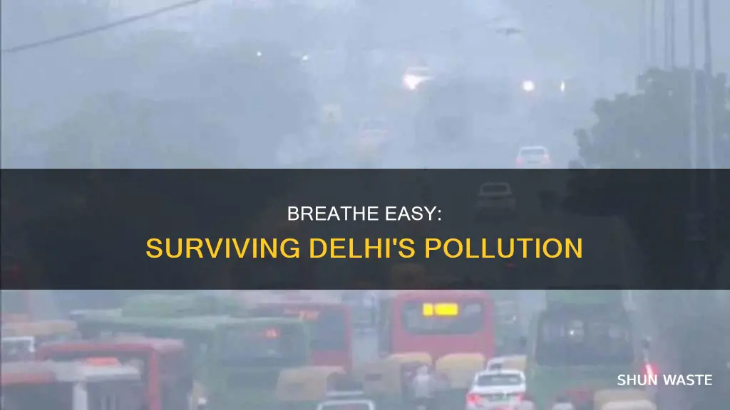 how to live in delhi pollution