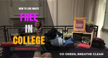 Sustainable Student Living: Tips for a Waste-Free College Lifestyle