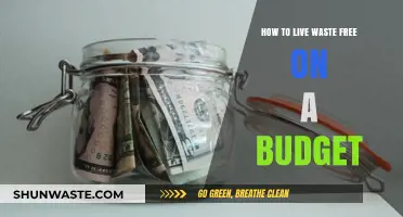 Budget-Friendly Tips for a Zero-Waste Lifestyle: Live Sustainably Without Breaking the Bank