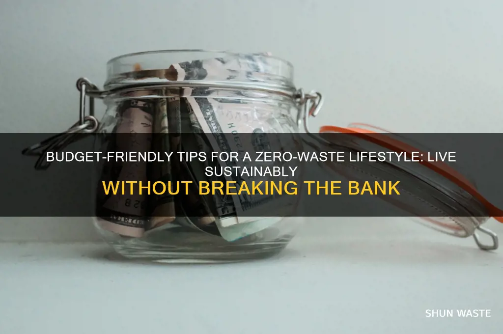 how to live waste free on a budget