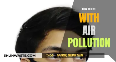 Air Pollution: Adapting to Survive and Stay Healthy