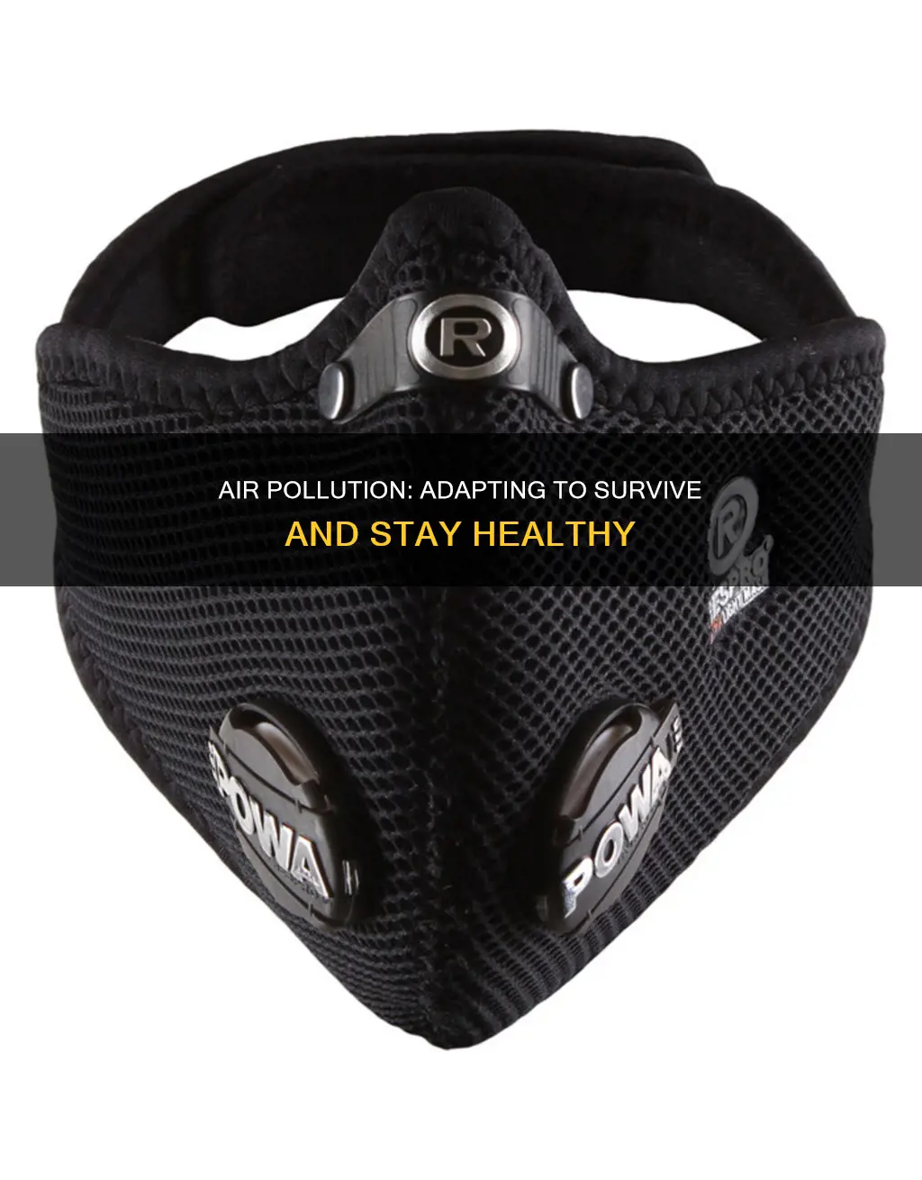 how to live with air pollution