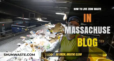 Sustainable Living in Massachusetts: A Zero Waste Lifestyle Guide