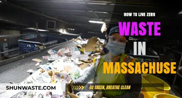 Sustainable Living in Massachusetts: A Zero Waste Lifestyle Guide