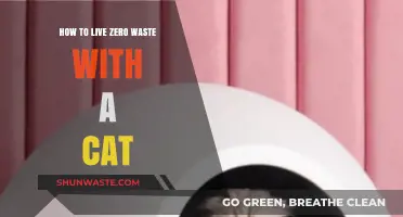 Eco-Friendly Feline Living: Zero Waste Tips for Cat Owners