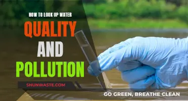 Unveiling Water Quality: A Guide to Checking Pollution Levels