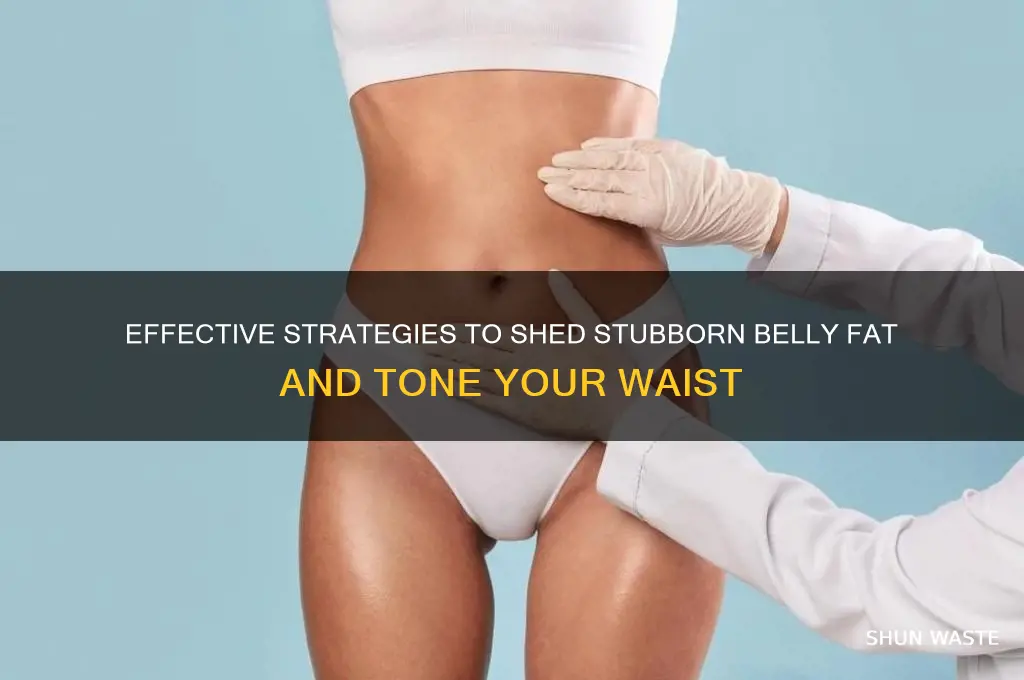 how to lose fat around the waste