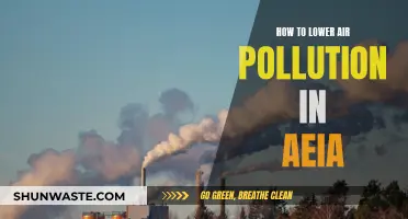 Strategies to Reduce Air Pollution in Europe